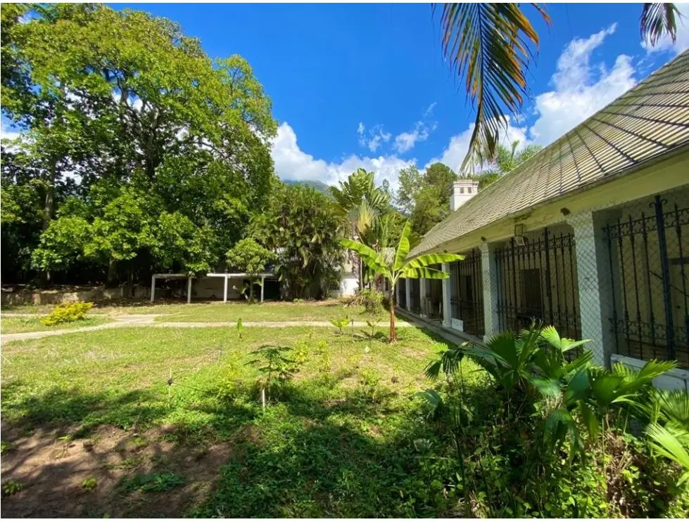 Se vende terreno 10.000 m² en Los Chorros - 4