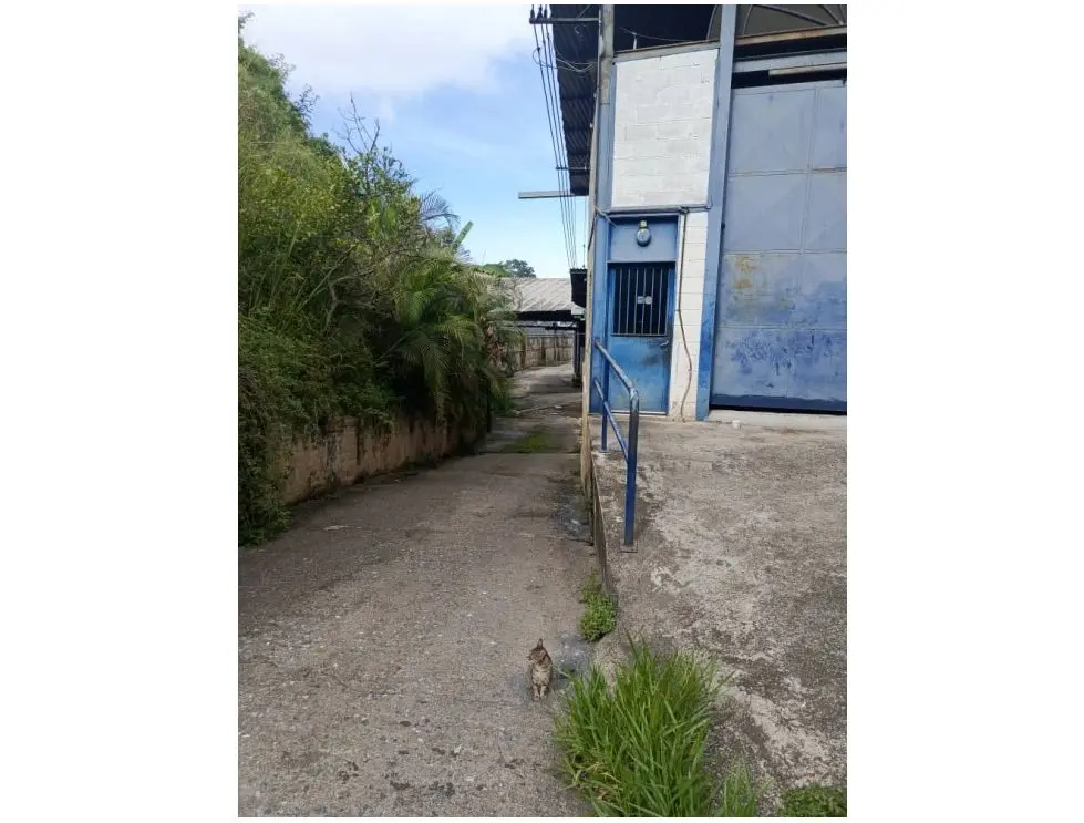 Se alquila galpón 1000m2 Filas de Mariche 0399 - 7