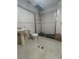 Vista 20