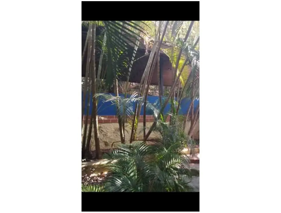 Se vende terreno 15769m2 Macaracuay 7898 - 4