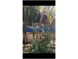 Vista 4