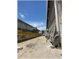 Vista 14