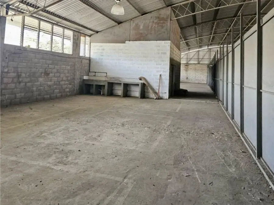 Vendo galpón industrial 3.900m2 Zona Industrial de Carrizal 4786 - 9