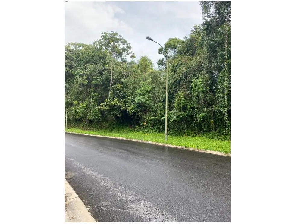 Se vende terreno 5100m2 Alto Hatillo 9430 - 12