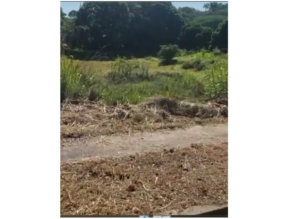 Se vende terreno 4149m2 Macaracuay 5573
