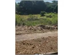 Vista 1