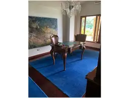 Vista 19