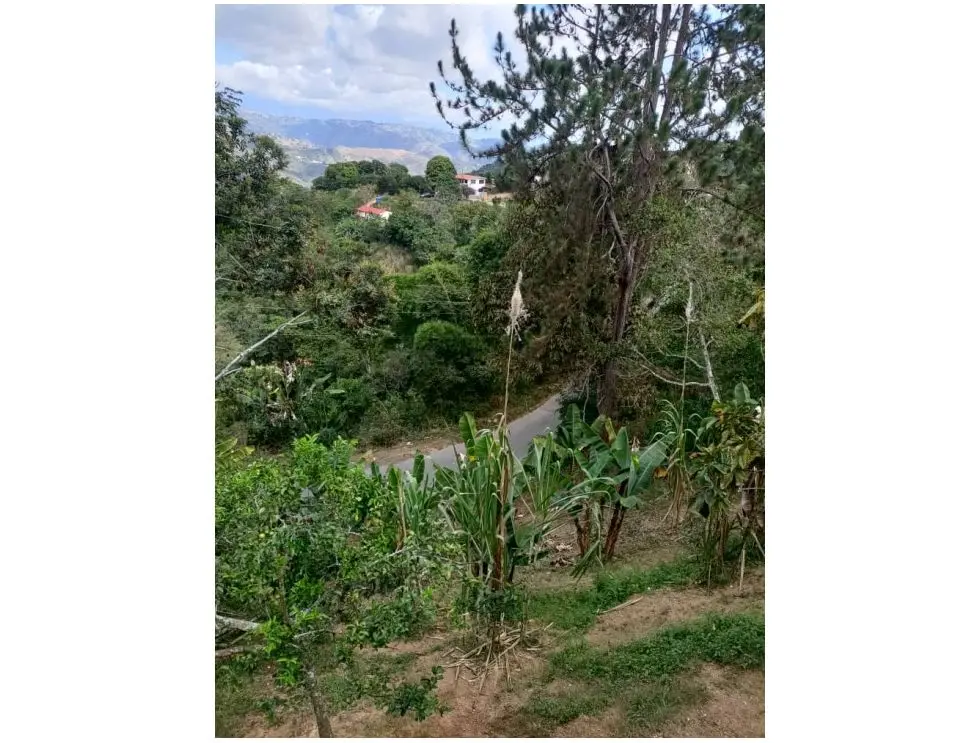 Se vende terreno 4729m2 Sabaneta-El Hatillo 8734 - 6