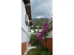 View 24