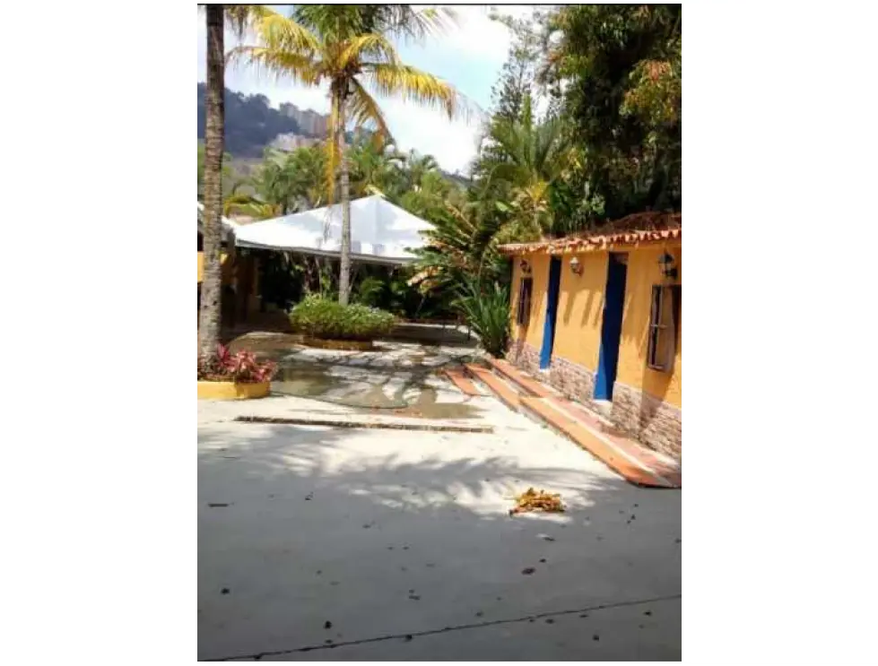 Se vende terreno 15769m2 Macaracuay 7898 - 2