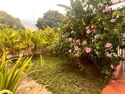 Vista 4