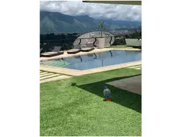 Vista 15