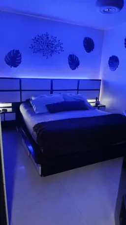 View 15
