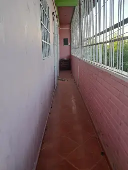 Vista 6