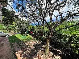 Vista 12