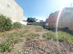 Vista 5