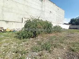 Vista 6