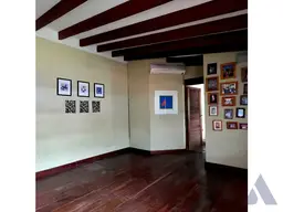 Vista 14