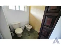 Vista 19