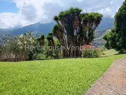 View 21