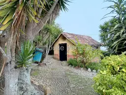 View 25