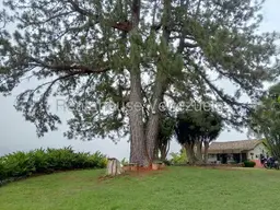 View 28
