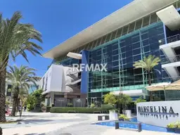 Vista 6