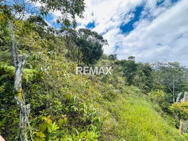 Se vende Terreno Sector Palo Gordo Aldea 5 de Julio Municipio Capacho viejo, Estado Táchira