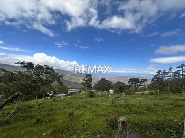 Se vende Terreno Sector Palo Gordo Aldea 5 de Julio Municipio Capacho viejo, Estado Táchira - 2