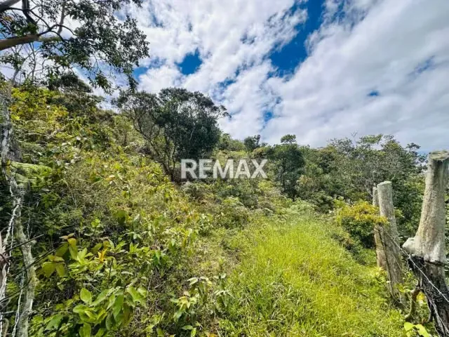Se vende Terreno Sector Palo Gordo Aldea 5 de Julio Municipio Capacho viejo, Estado Táchira - 5