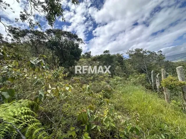 Se vende Terreno Sector Palo Gordo Aldea 5 de Julio Municipio Capacho viejo, Estado Táchira - 7