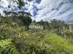 View 7