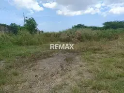 Vista 1