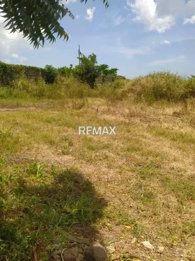 En venta amplio terreno en Troncal 9 - 3