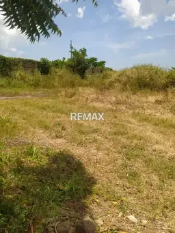 Vista 3