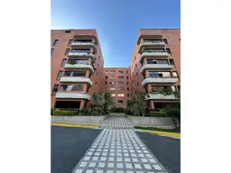 Vista 12