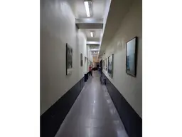 Vista 11