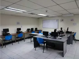 Vista 19