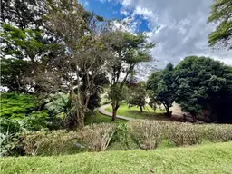 View 39