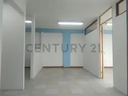 Vista 4