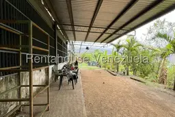 View 11