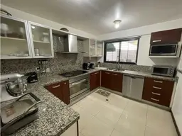 Vista 19