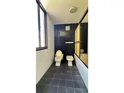 Vista 19