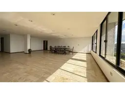 Vista 6