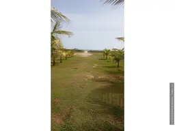 Vista 19