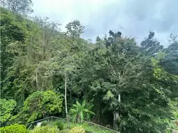 Vista 14