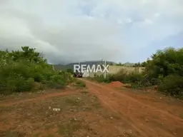 Vista 11