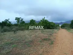 Vista 4