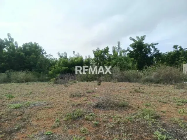 SI VAS A INVERTIR EN LA ISLA DE MARGARITA TE OFREZCO ESTE TERRENO CON CERCANIA A LA MEJOR , COMO LO ES PLAYA EL AGUA A SOLO 5 MINUTOS NO DEJES PASAR ESTA OPORTUNIDAD. - 6