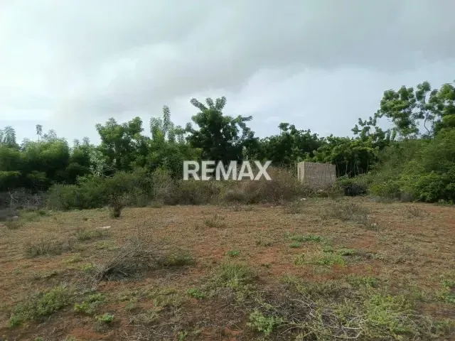 SI VAS A INVERTIR EN LA ISLA DE MARGARITA TE OFREZCO ESTE TERRENO CON CERCANIA A LA MEJOR , COMO LO ES PLAYA EL AGUA A SOLO 5 MINUTOS NO DEJES PASAR ESTA OPORTUNIDAD. - 7